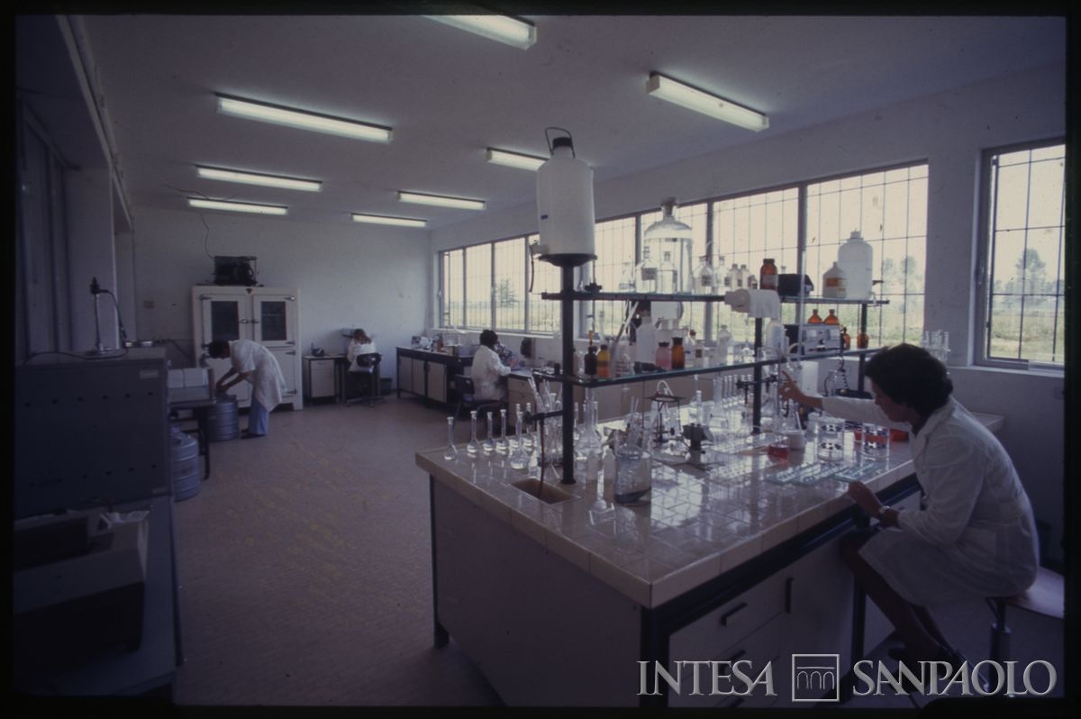 Ente Lombardo per il potenziamento zootecnico: visita di gruppo n.i., 1966 (fotografo sconosciuto)