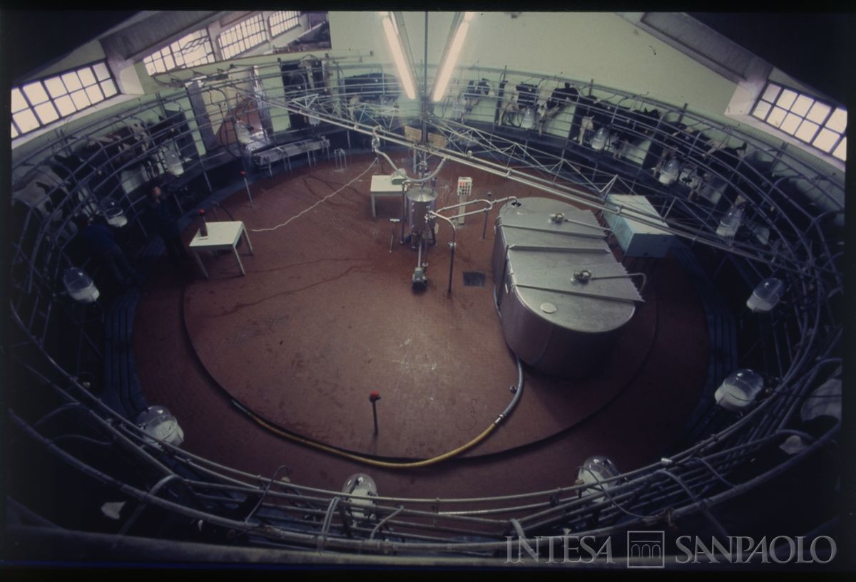 Ente Lombardo per il potenziamento zootecnico: visita di gruppo n.i., 1966 (fotografo sconosciuto)