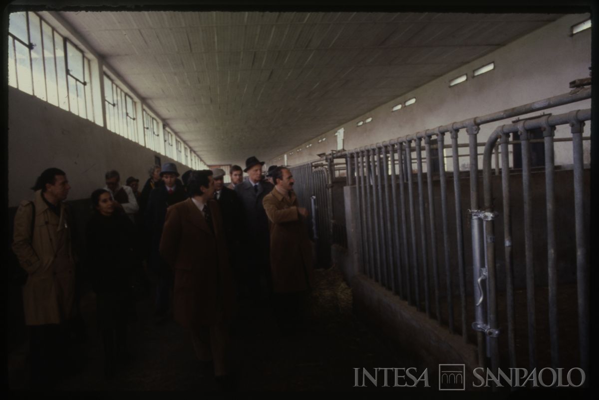 Ente Lombardo per il potenziamento zootecnico: visita di gruppo n.i., 1966 (fotografo sconosciuto)