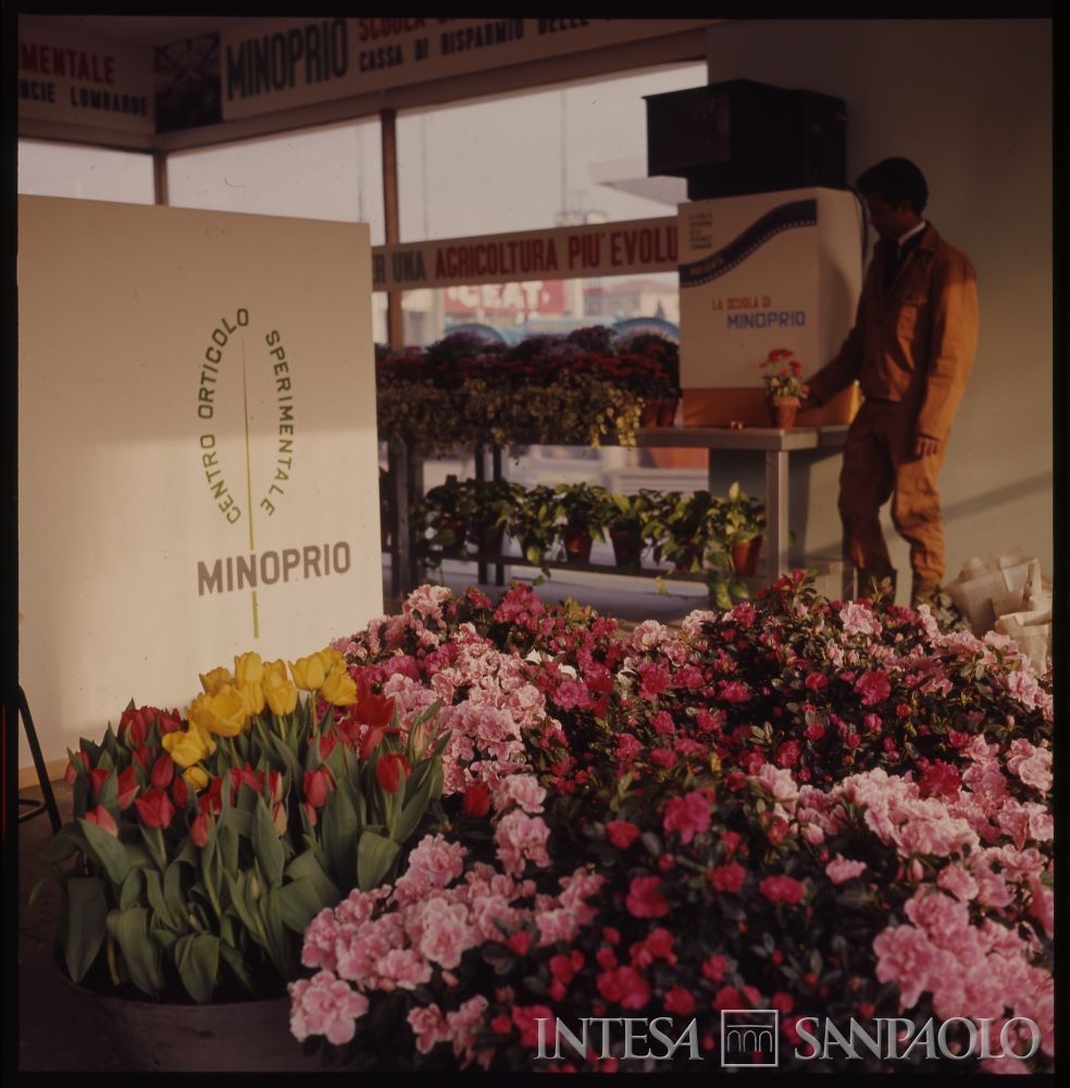 Centro Lombardo per l'incremento della floro-orto-frutticoltura: stand presso la 68° Fiera dell'agricoltura di Verona, 13 - 21 marzo 1966 (fotografo sconosciuto)