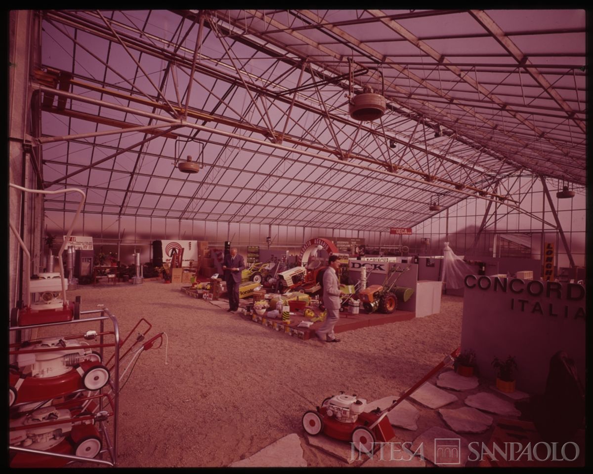 Centro Lombardo per l'incremento della floro-orto-frutticoltura: 1a mostra nazionale del crisantemo, 18  - 25 ottobre 1970 (Immagine Fotografica)