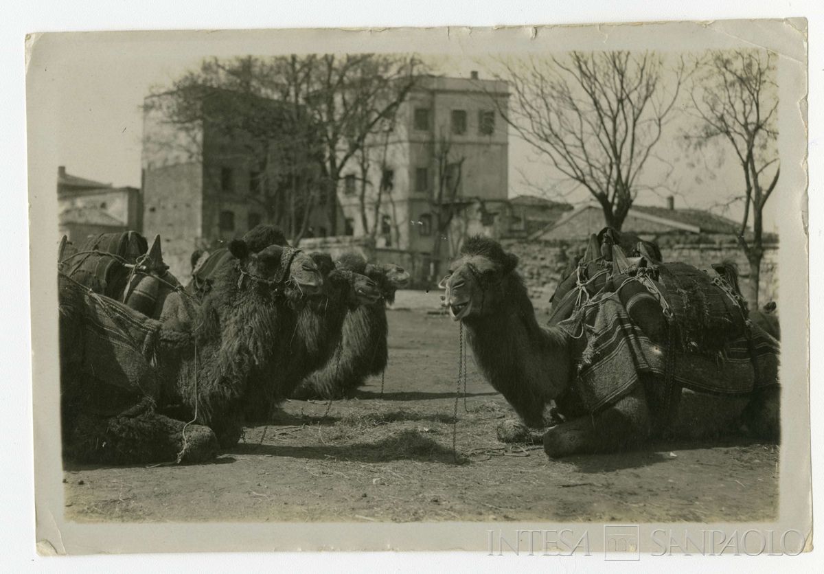 Scorcio di Costantinopoli, ultimo quarto 1800 - 1926 (fotografo sconosciuto)