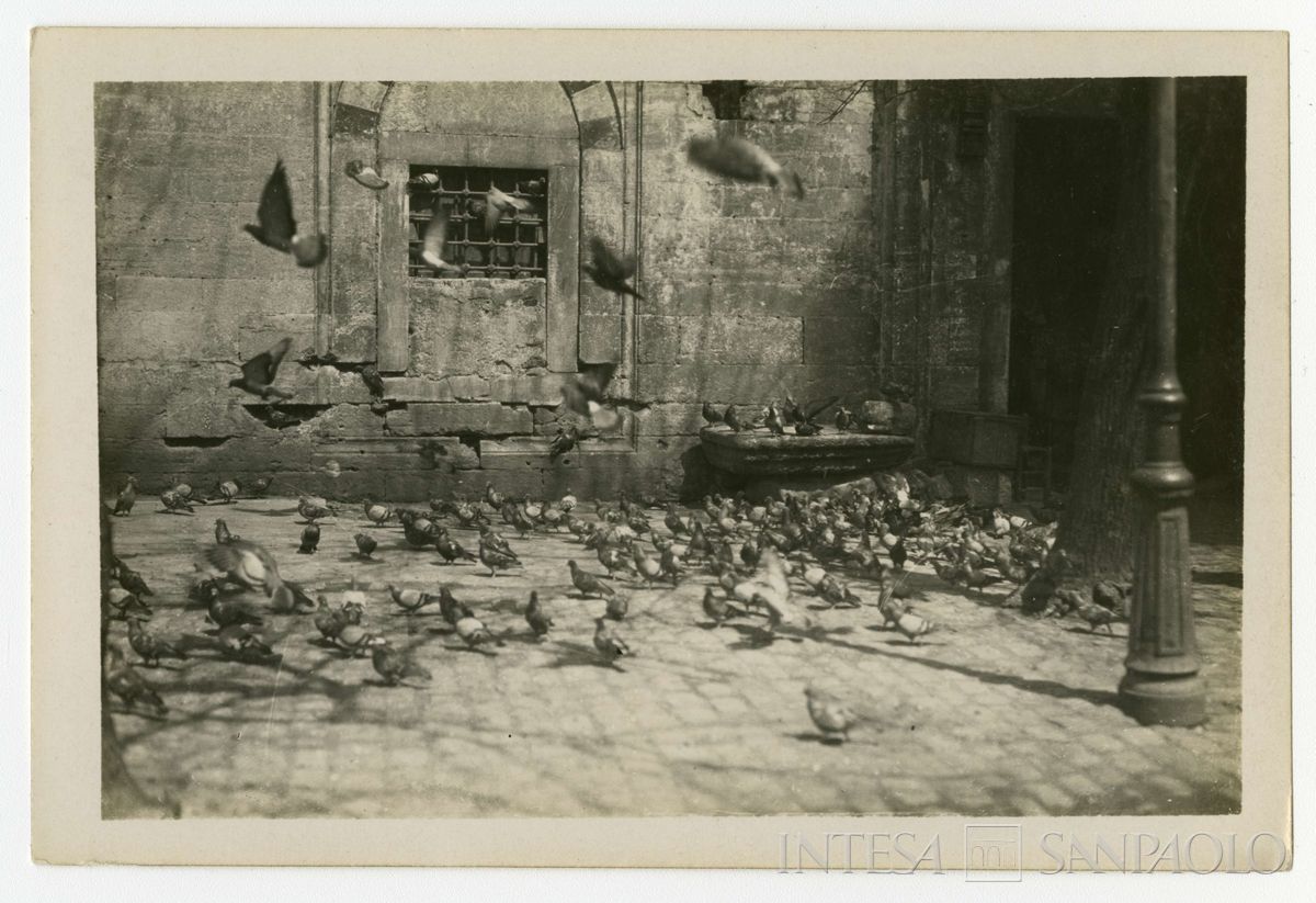 Scorcio di Costantinopoli, ultimo quarto 1800 - 1926 (fotografo sconosciuto)