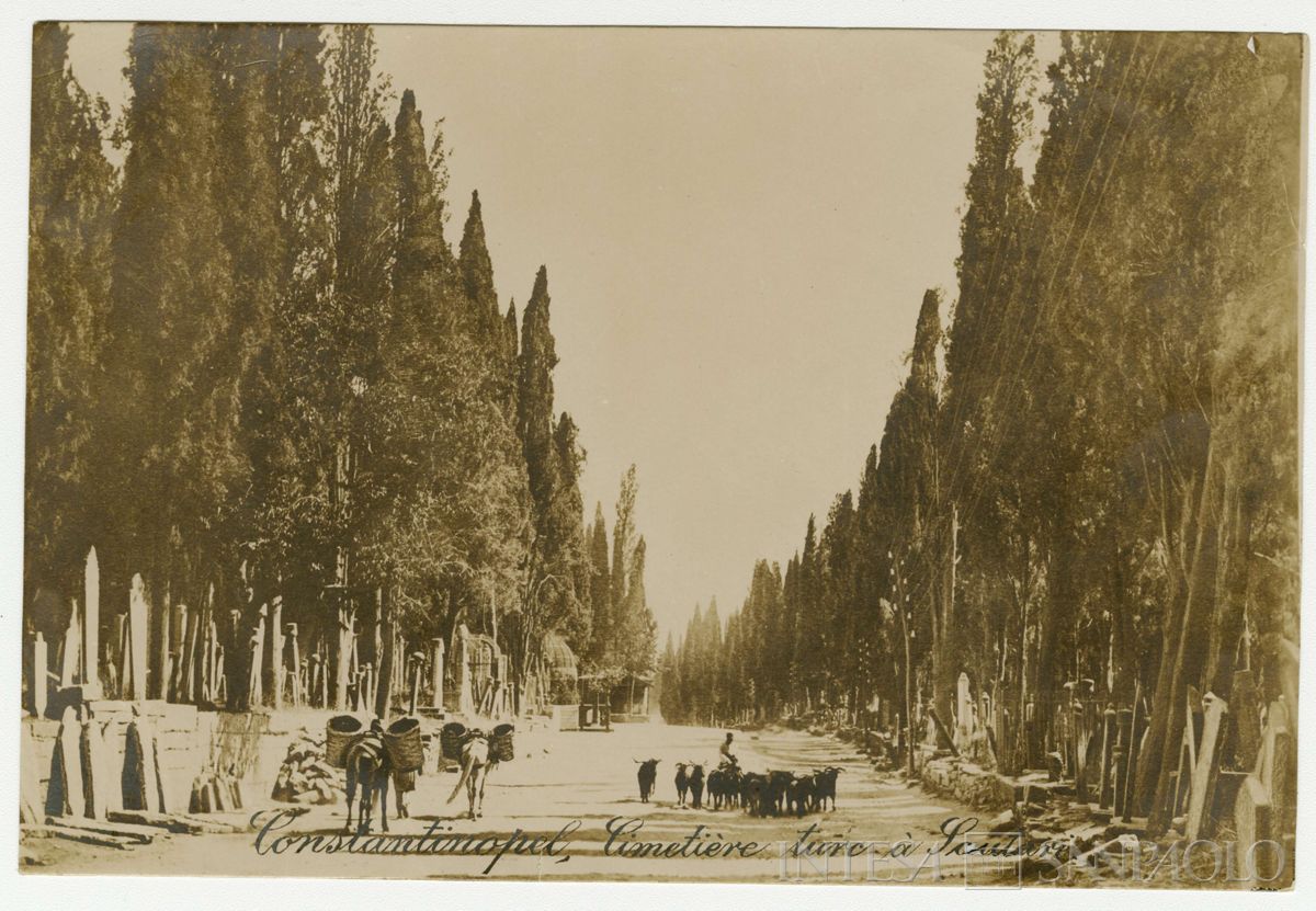 Cimitero turco nel quartiere di Scutari a Costantinopoli, ultimo quarto 1800 - 1926 (fotografo sconosciuto)