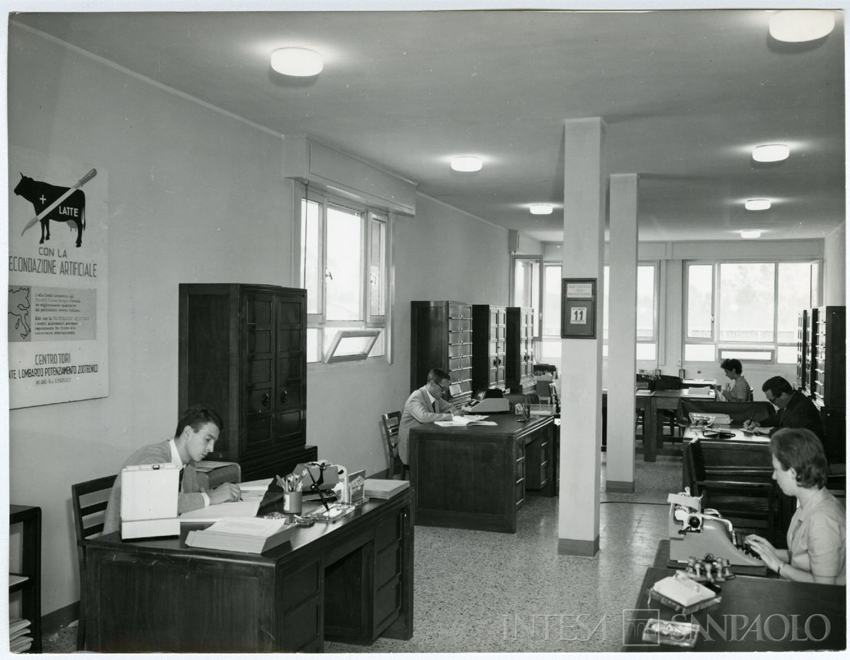 Cariplo, Ente lombardo per il potenziamento zootecnico: Centro Tori di Zorlesco, ufficio con personale al lavoro, 1964 (foto di Color Press)