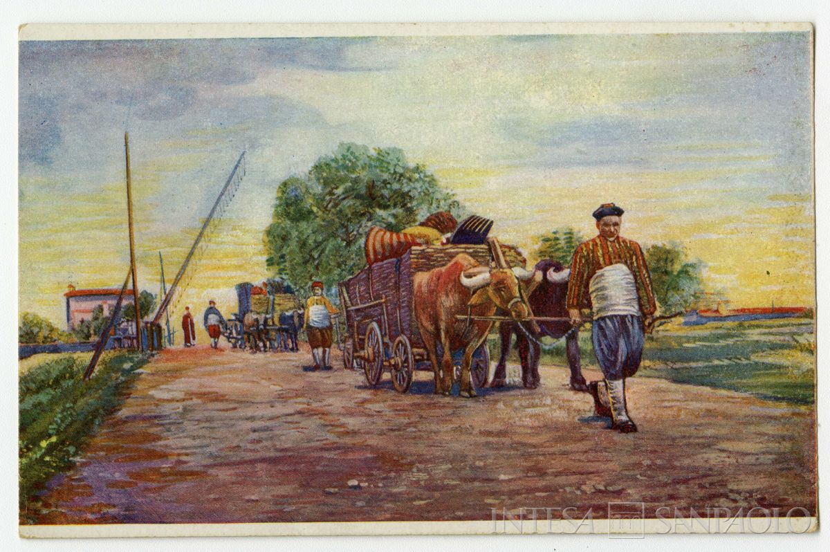 Carretti in Anatolia, ultimo quarto 1800 - 1926 (fotografo sconosciuto)