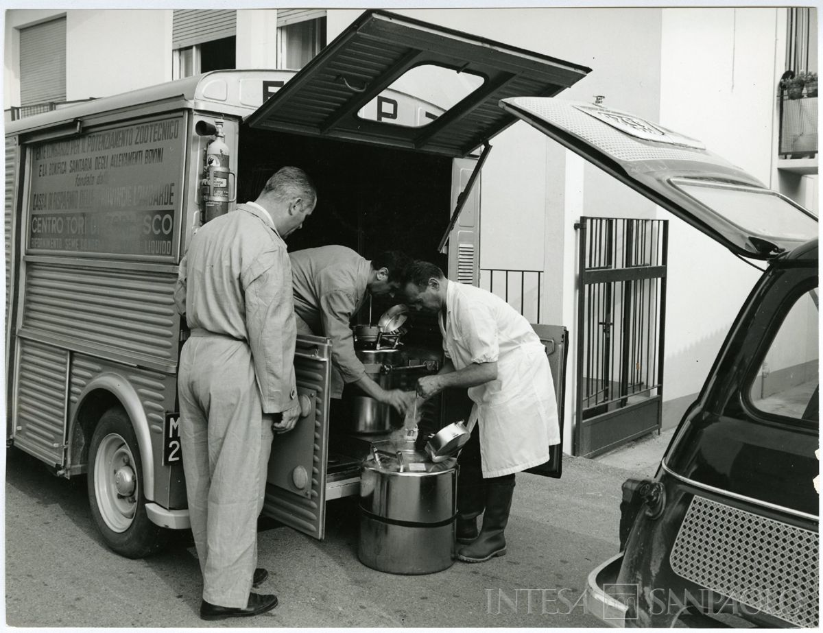 Cariplo, Ente lombardo per il potenziamento zootecnico: tecnici al lavoro per il trasporto del seme congelato, 1966-1970 circa (Publifoto)
