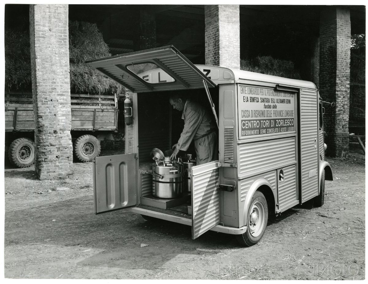 Cariplo, Ente lombardo per il potenziamento zootecnico: tecnici al lavoro per il trasporto del seme congelato, 1966-1970 circa (Publifoto)