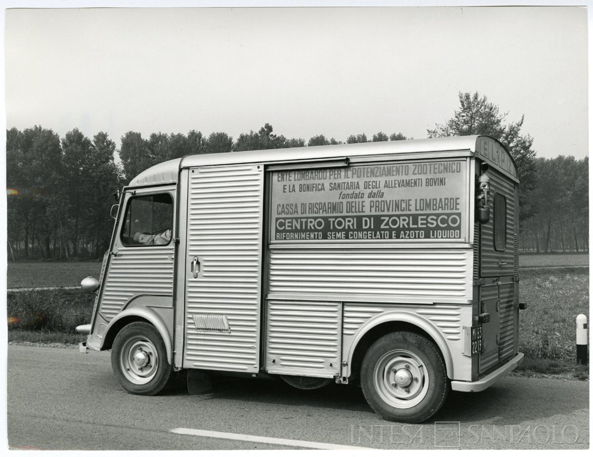 Cariplo, Ente lombardo per il potenziamento zootecnico: furgone per il trasporto del seme congelato, 1966-1970 circa (Publifoto)