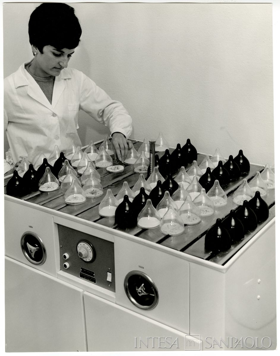 Cariplo, ENSE: personale nella sala analisi germinabilità e particolare della cella termostatica con germinatoio Jacobsen, 1960-1968 (foto Publifoto)