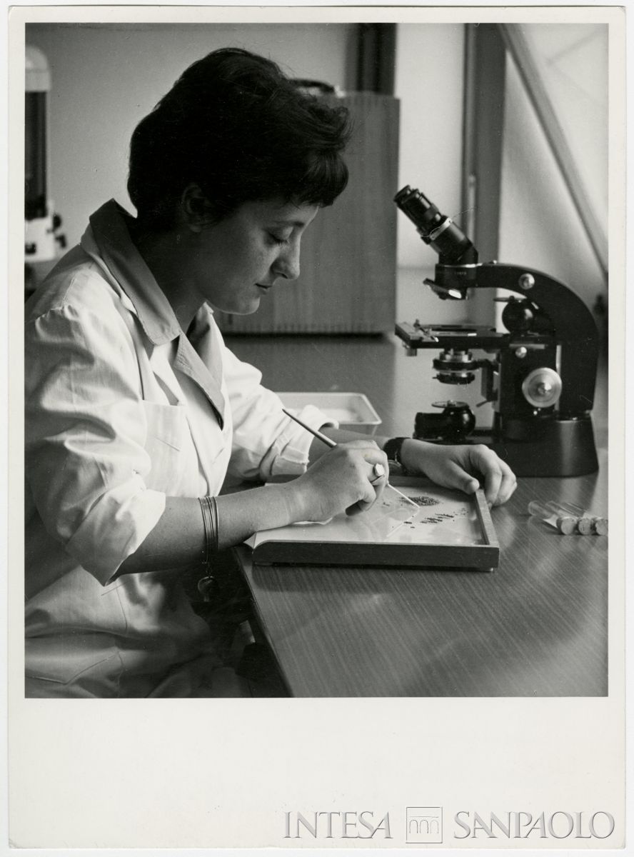Cariplo, ENSE: personale nel laboratorio di analisi della purezza varietale dei semi, 1960-1968 (foto Laboratorio Fotografico Agodi)