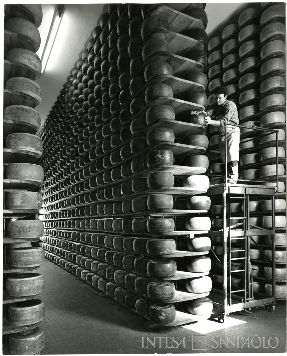 Magazzini Generali Fiduciari della Cariplo, Pavia: interno del magazzino con scaffalature per lo stoccaggio del formaggio, 1968 circa (fotografia di Publifoto)