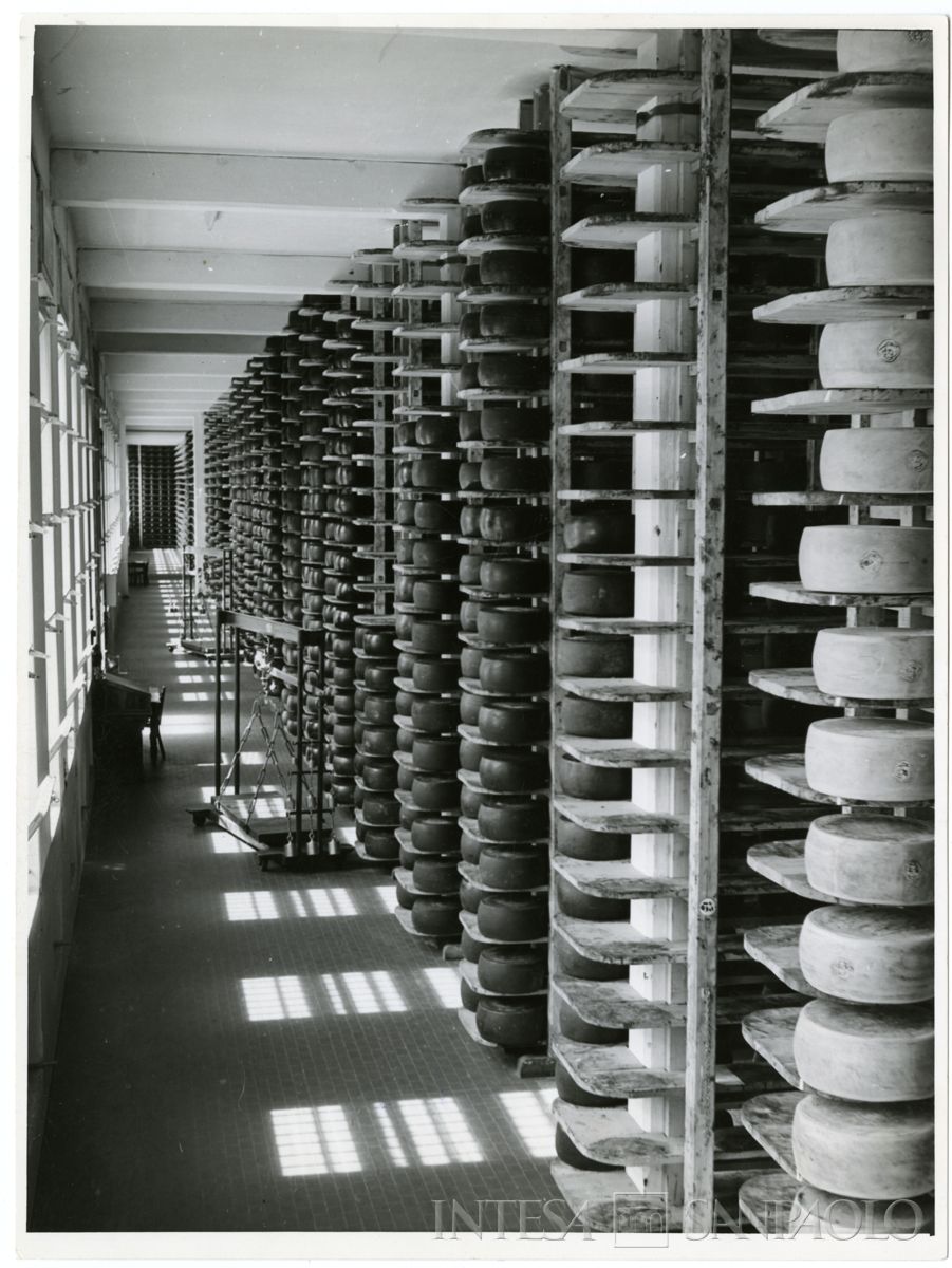 Immobiliare Caseifici Sociali, Pegognaga: interno con vista della scaffalatura per lo stoccaggio del formaggio, 1955 - 1964 (fotografia di Ezio Pasqualigo)
