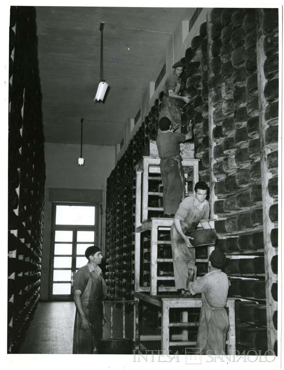 Immobiliare Caseifici Sociali, Pegognaga: interno con vista della scaffalatura per lo stoccaggio del formaggio, 1955 - 1964 (fotografia di Ezio Pasqualigo)