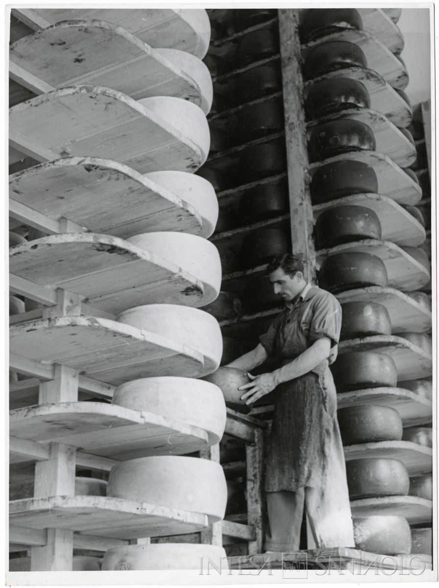 Immobiliare Caseifici Sociali, Pegognaga: interno con vista della scaffalatura per lo stoccaggio del formaggio, 1955 - 1964 (fotografia di Ezio Pasqualigo)