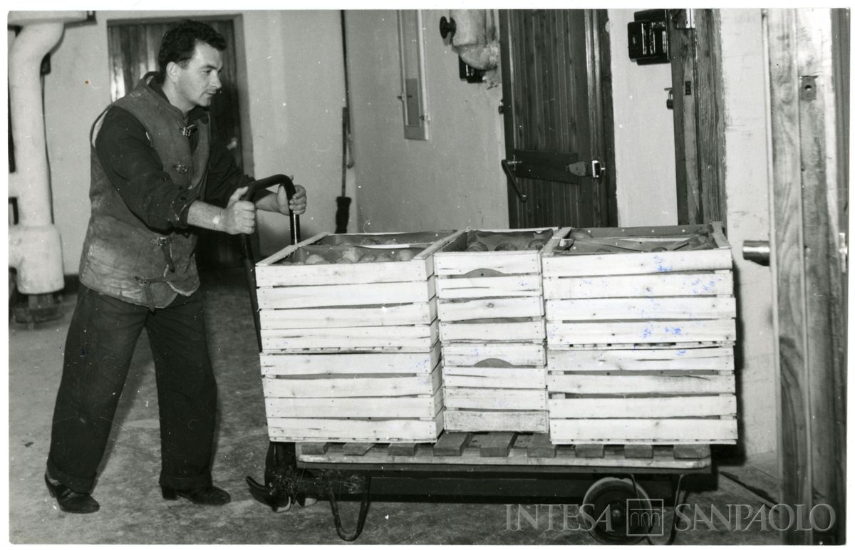 Immobiliare Caseifici Sociali, Pegognaga: trasporto di cassette di frutta nella zona delle celle frigo, 1955 - 1964 (fotografia di Ezio Pasqualigo)