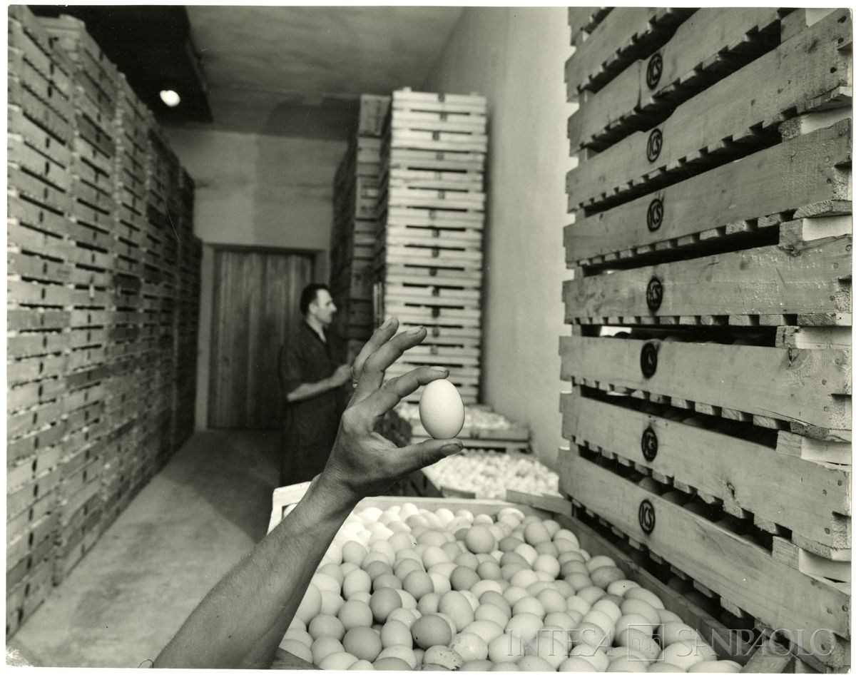 Magazzini Generali Fiduciari della Cariplo, Pegognaga: interno di magazzino, 1968 circa (fotografia di Publifoto)