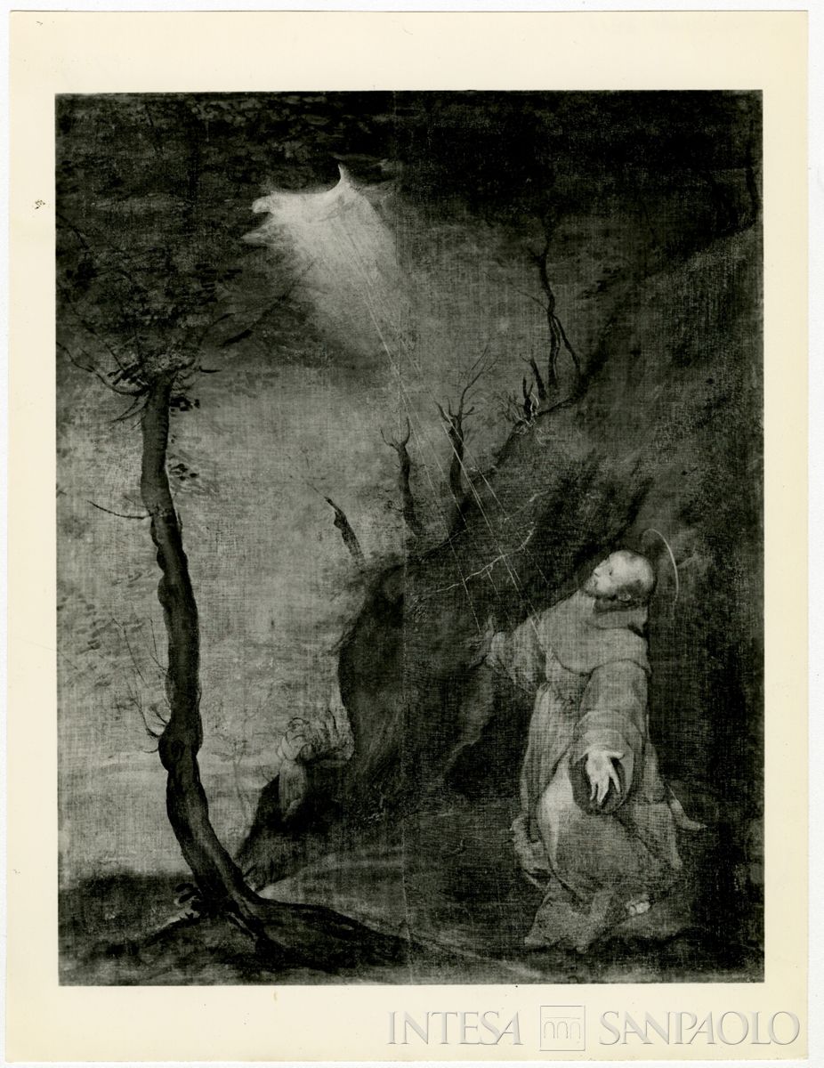 Urbino, Pinacoteca Nazionale delle Marche: San Francesco stigmatizzato dopo il restauro, luglio 1964 (Foto Giovetti)