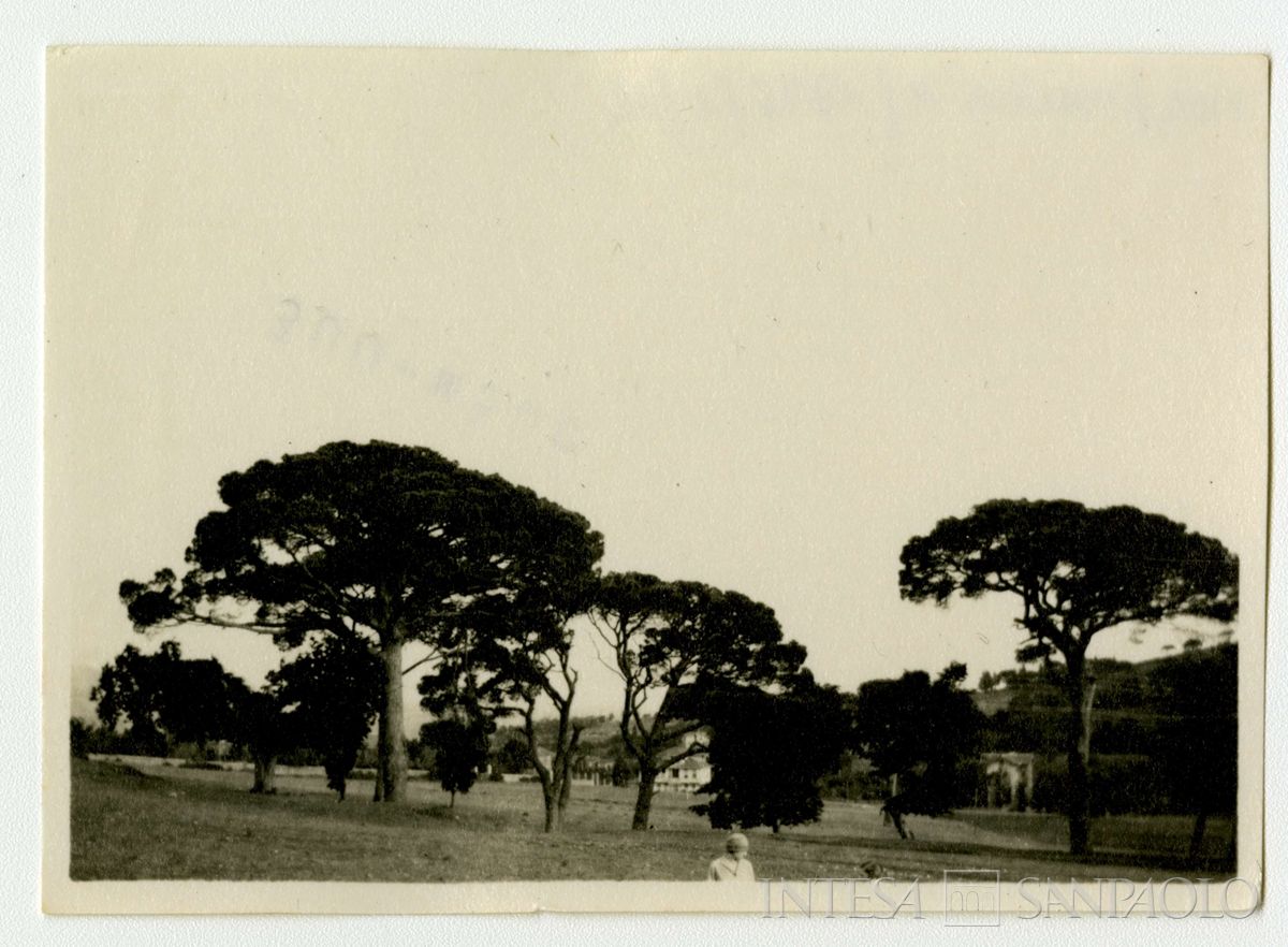 Paesaggio, 1926 (fotografo sconosciuto)