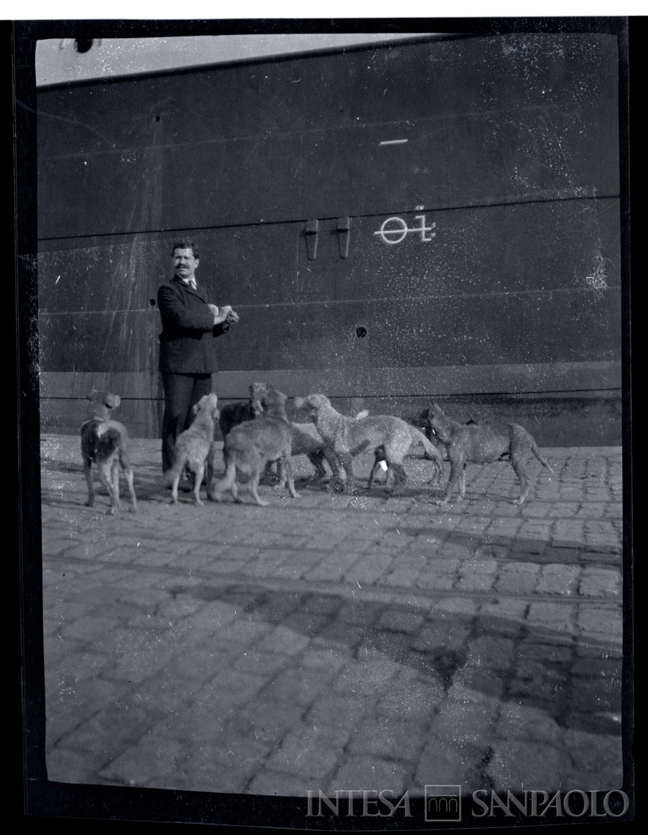 Uomo sfama cani randagi nei pressi del ponte di Galata a Costantinopoli, 1908 - 1914 (fotografo sconosciuto)