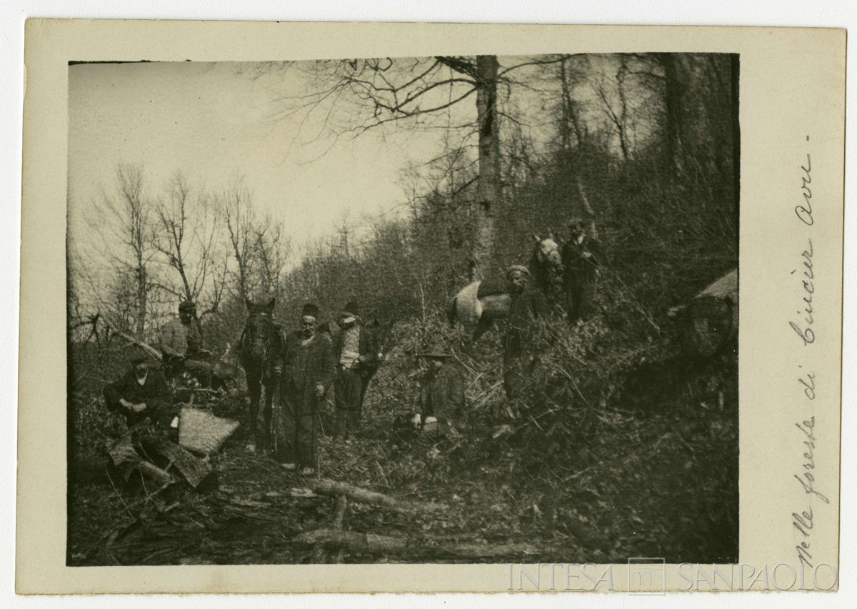Bernardino Nogara e altri uomini con cavalli nella foresta di Ciucùr Avù, 1908 (fotografo sconosciuto)