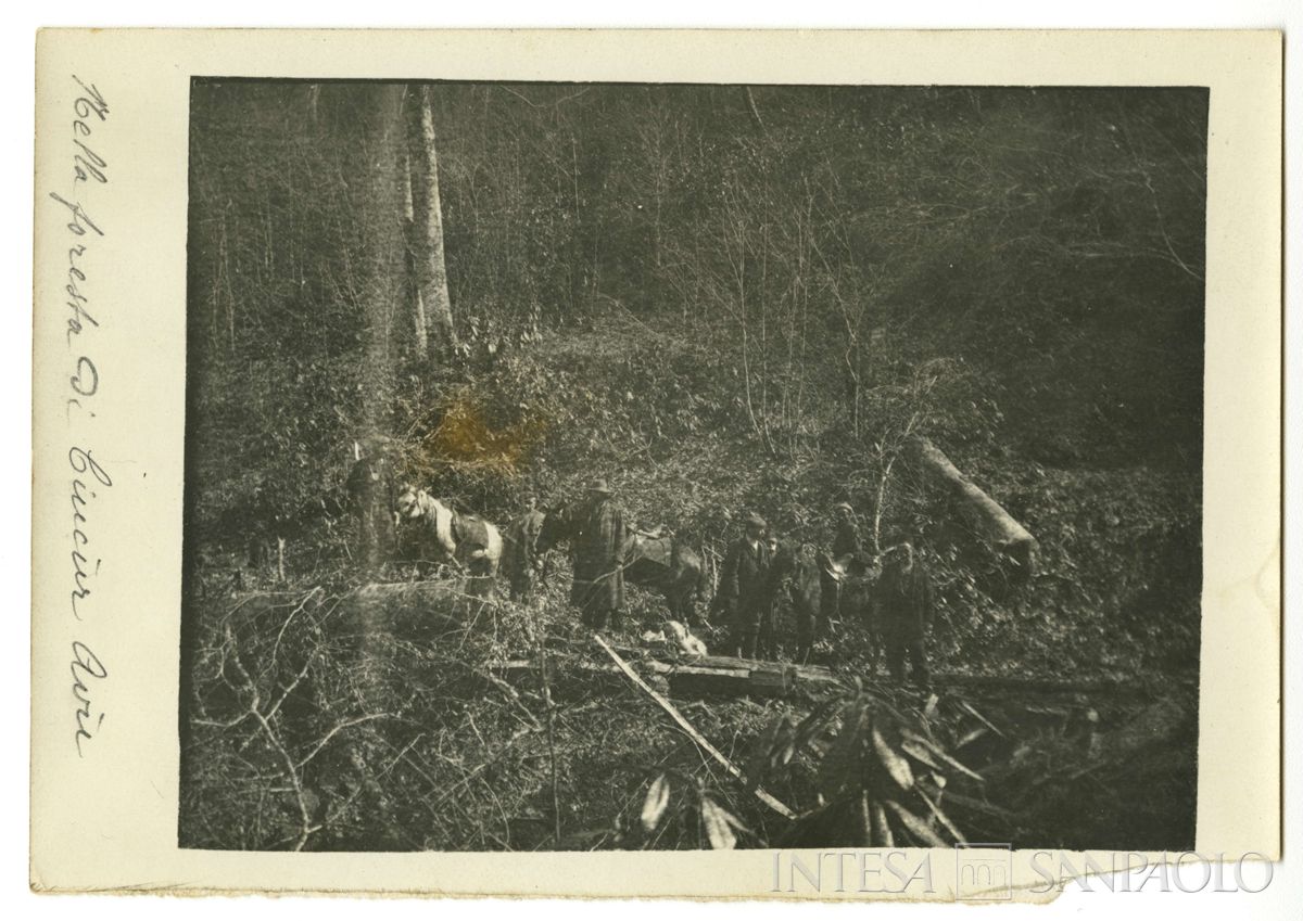 Bernardino Nogara e altri uomini con cavalli nella foresta di Ciucùr Avù, 1908 (fotografo sconosciuto)