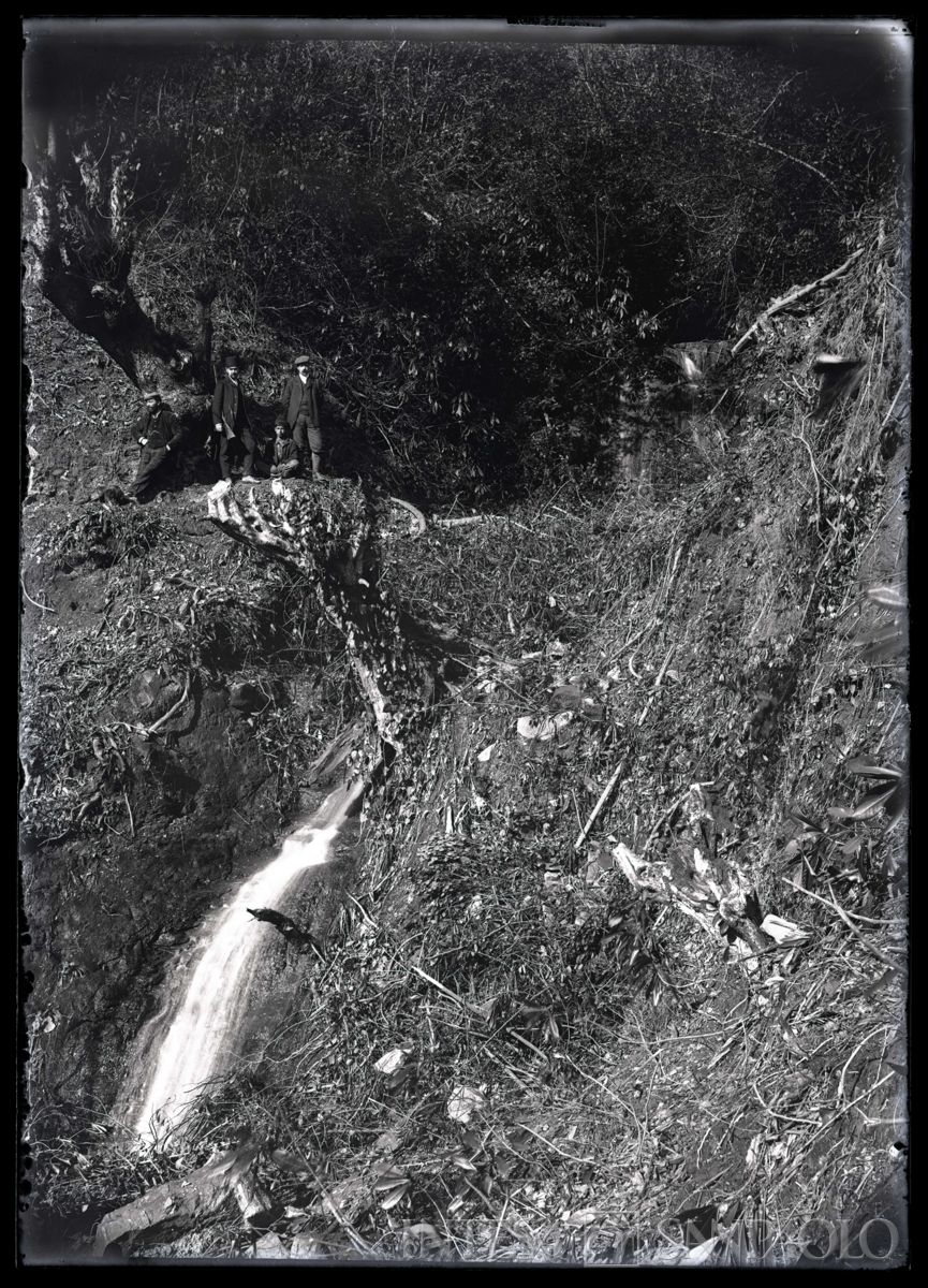 Bernardino Nogara e altri uomini nella foresta di Ciucùr Avù, 1908 (fotografo sconosciuto)
