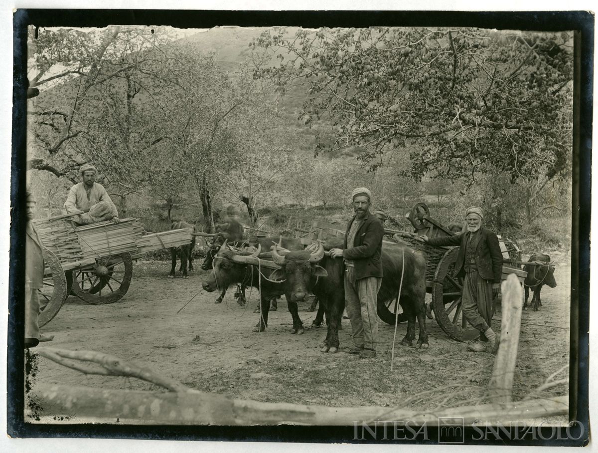 Carrettieri turchi con carri trainati da buoi, 1904 - 1914 (fotografo sconosciuto)