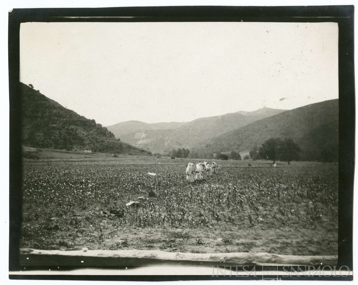 Donne curde al lavoro nei campi presso Kouby, 1908 (Giulio Martelli)