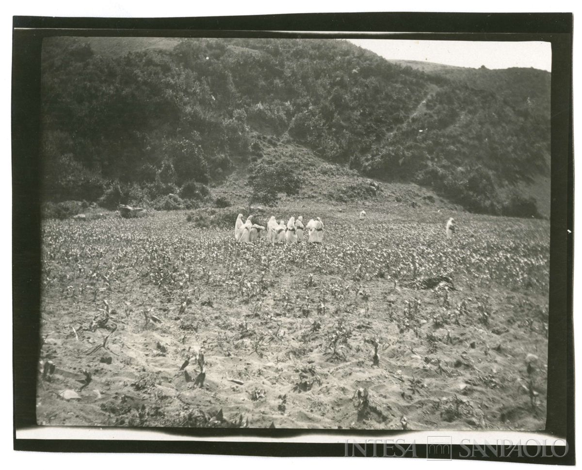 Donne curde al lavoro nei campi presso Kouby, 1908 (Giulio Martelli)
