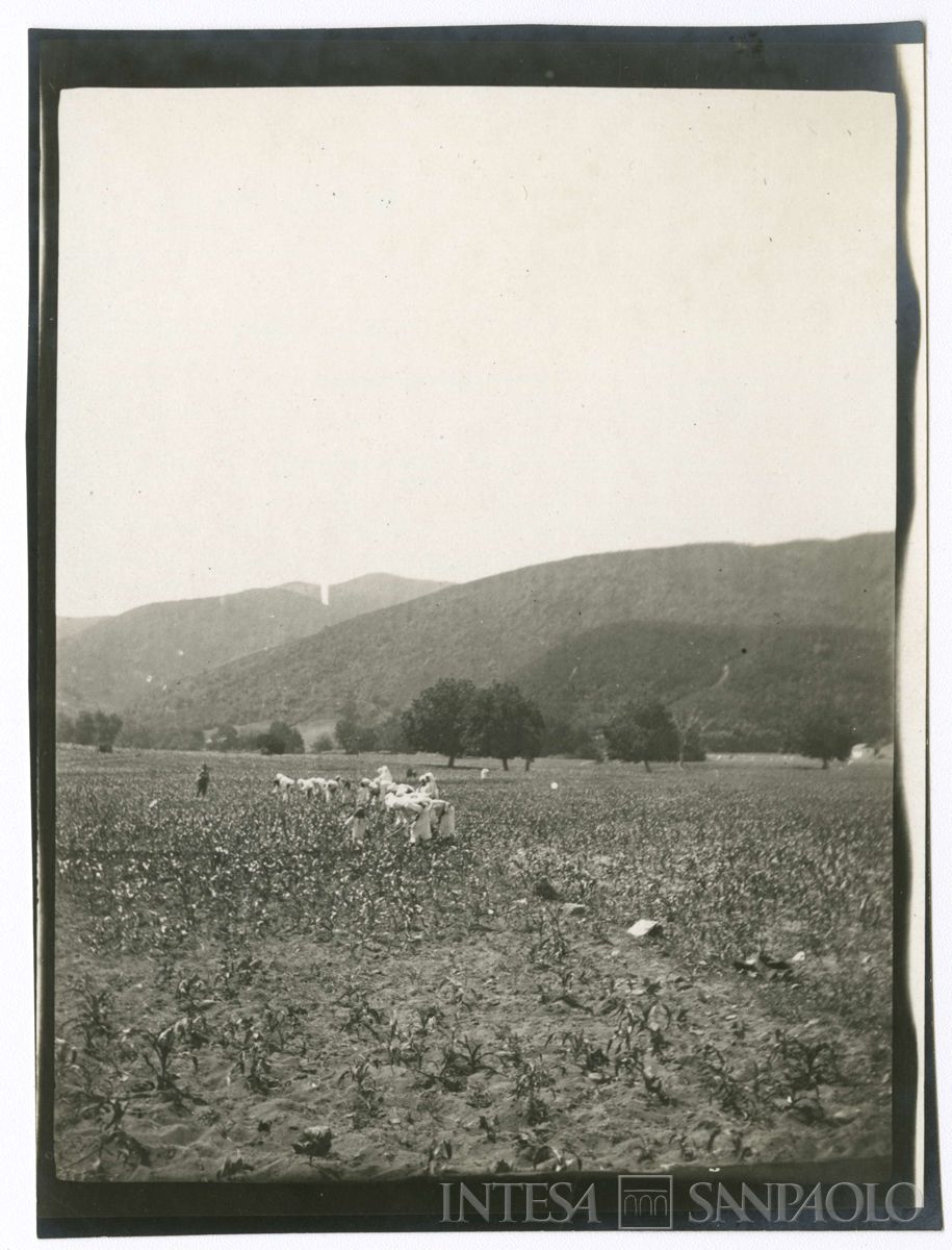 Donne curde al lavoro nei campi presso Kouby, 1908 (Giulio Martelli)