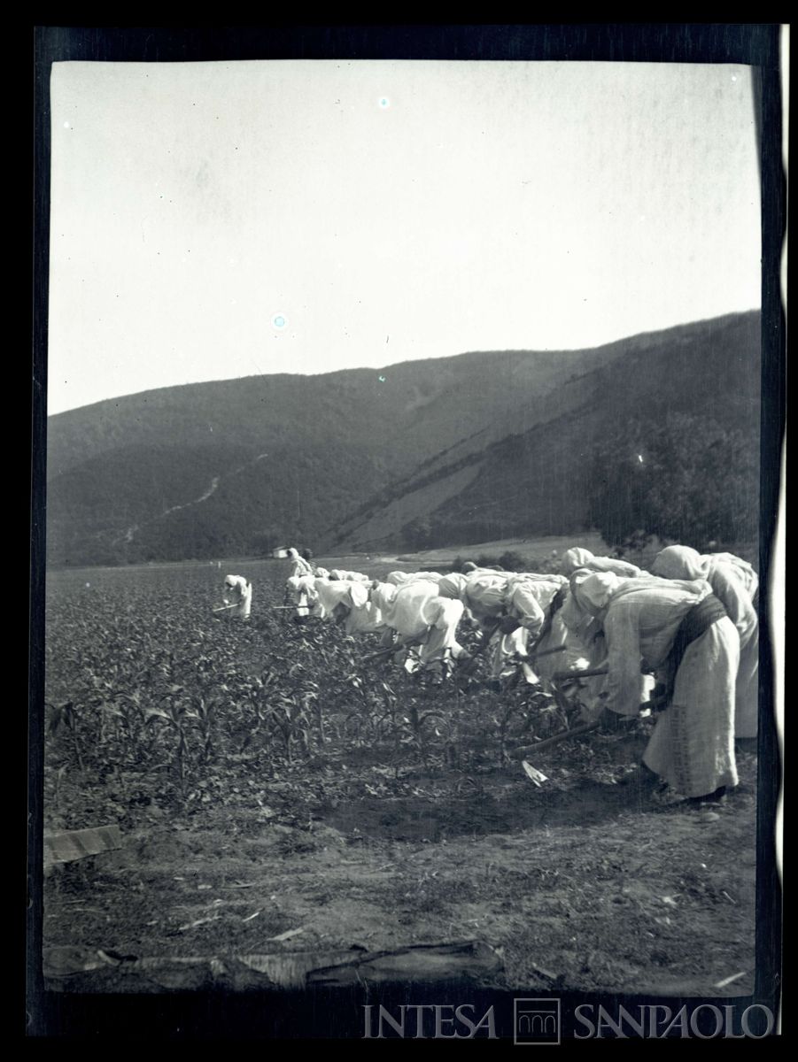 Donne curde al lavoro nei campi presso Kouby, 1908 (Giulio Martelli)