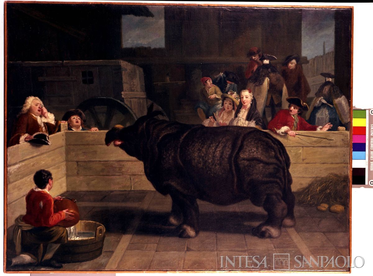 Palazzo Leoni Montanari, riproduzione de "Il rinoceronte" della cerchia di Pietro Longhi, post 1979 (Foto Tapparo & Trentin)