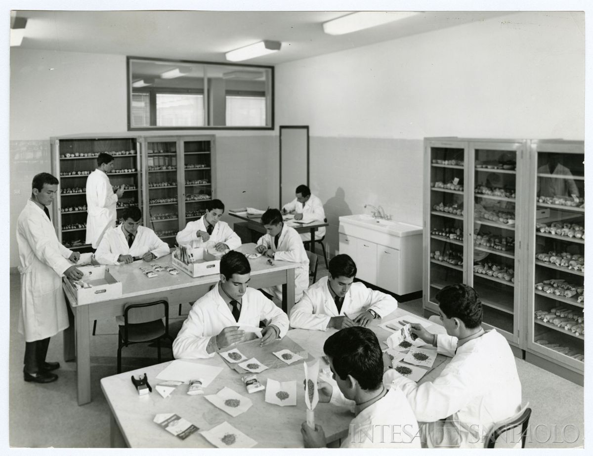 Centro Lombardo per l'incremento della floro-orto-frutticoltura di Vertemate con Minoprio: laboratorio di preparazione, 1963 - 1968 (Publifoto)