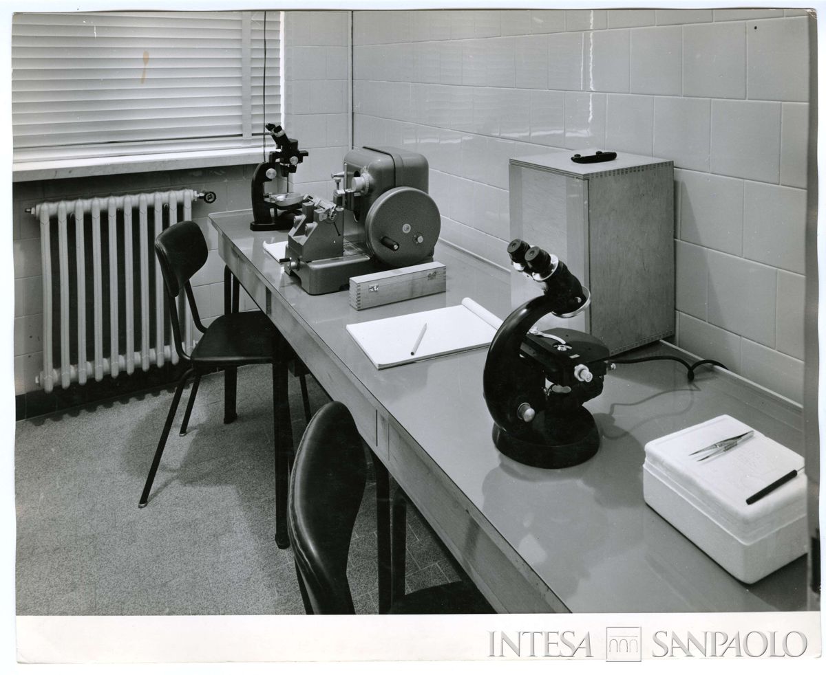 Centro Lombardo per l'incremento della floro-orto-frutticoltura di Vertemate con Minoprio: laboratorio di istologia vegetale, 1963 - 1968 (Publifoto)