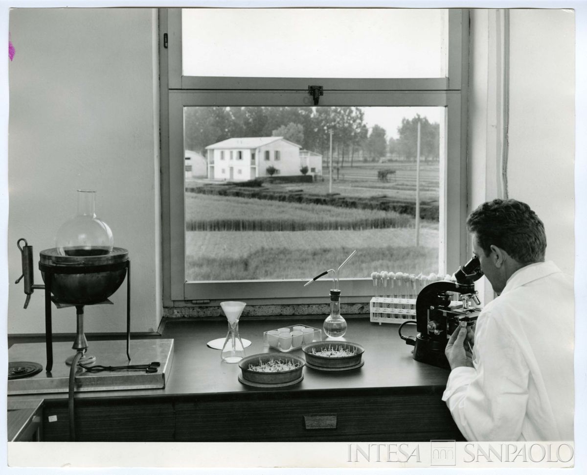 Centro Lombardo per l'incremento della floro-orto-frutticoltura di Vertemate con Minoprio: laboratorio di litogenetica, 1963 - 1968 (Publifoto)