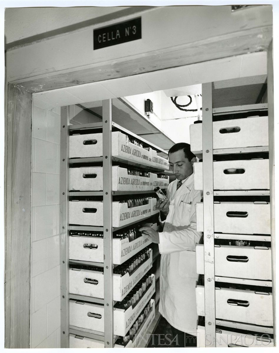 Centro Lombardo per l'incremento della floro-orto-frutticoltura di Vertemate con Minoprio: cella fredda per la conservazione del materiale citologico, 1963 - 1968 (Foto di Tino Petrelli)
