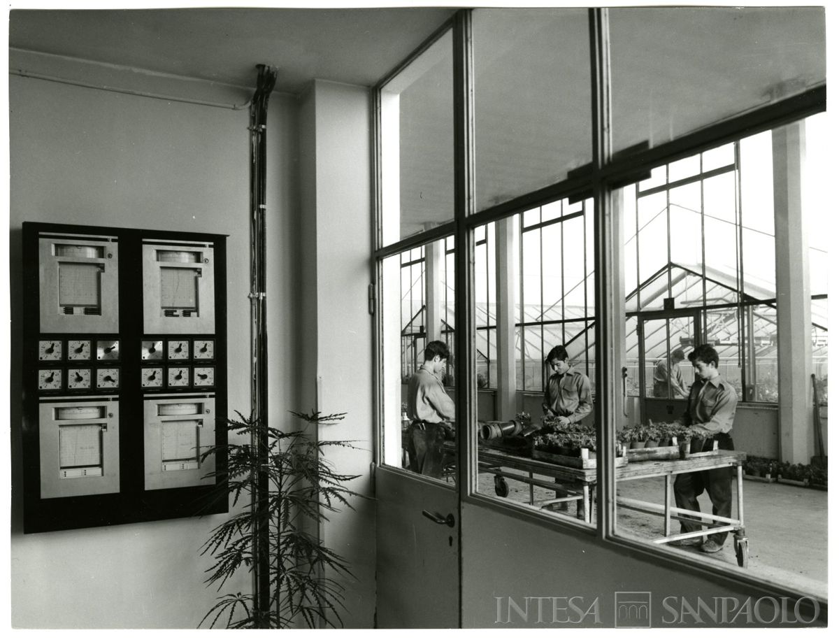 Cariplo, Minoprio: serre, anni 1960 (foto Elle2)