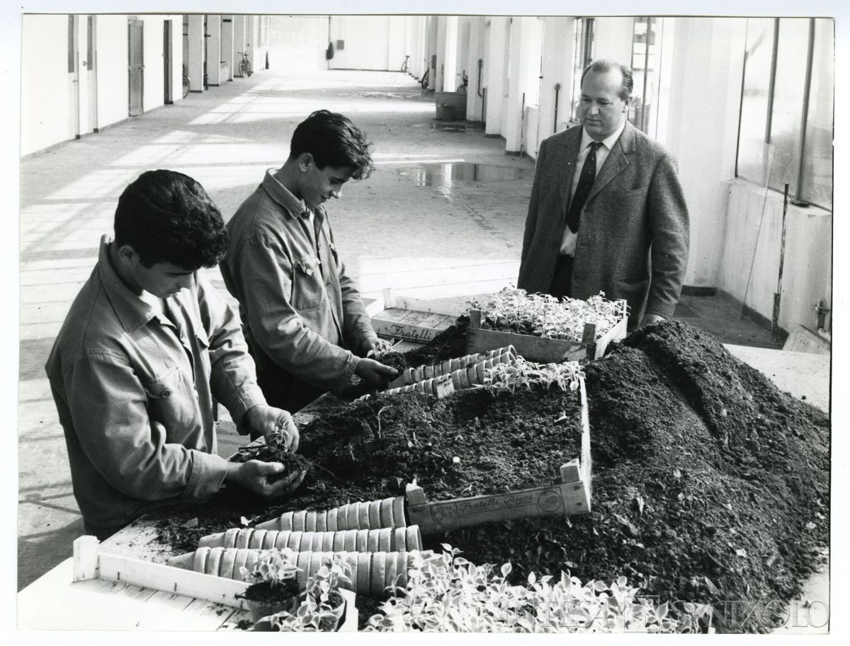 Cariplo, Minoprio: allievi invasano piante da appartamento in una delle serre, anni 1960 (fotografo sconosciuto)