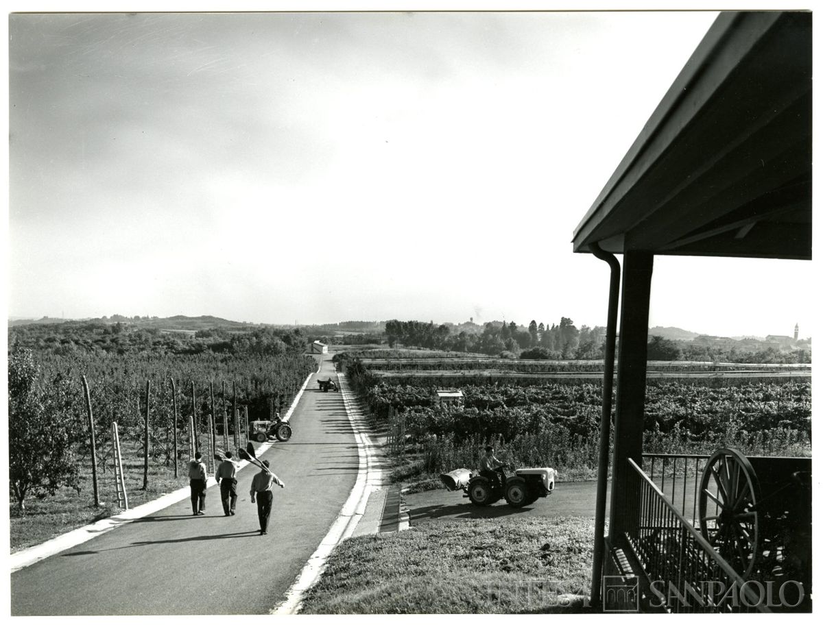 Cariplo, Minoprio: strutture dell'azienda agricola, anni 1960 (foto CPF Publifoto)