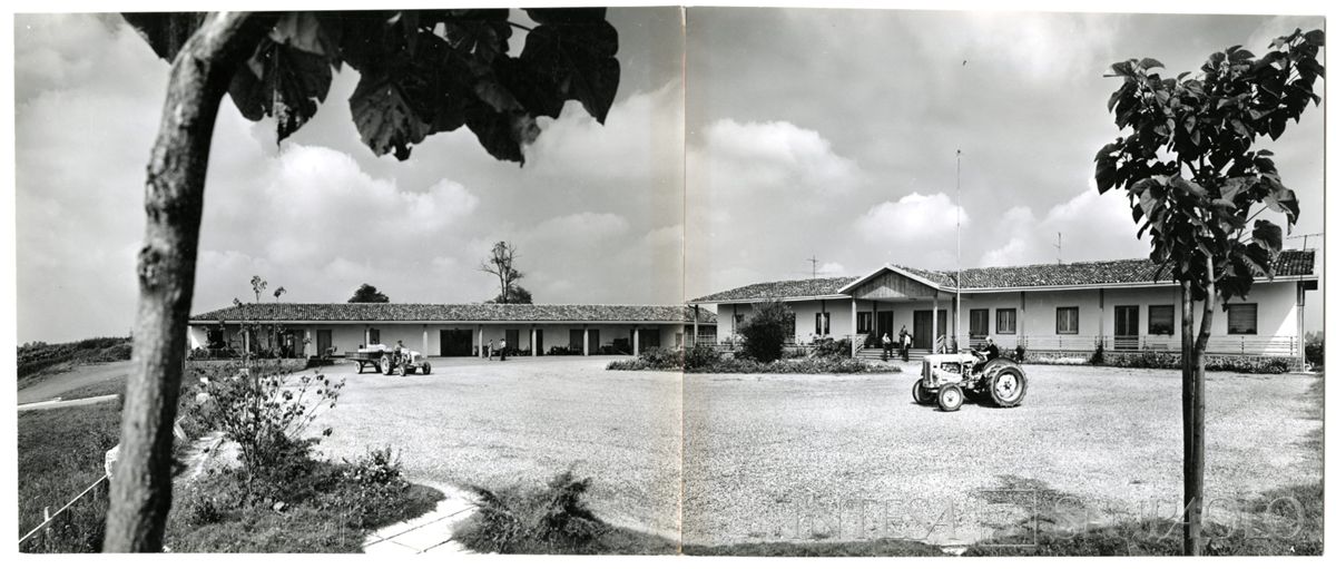 Cariplo, Minoprio: abitazioni dei capi-sezione, anni 1960 (foto Publifoto)