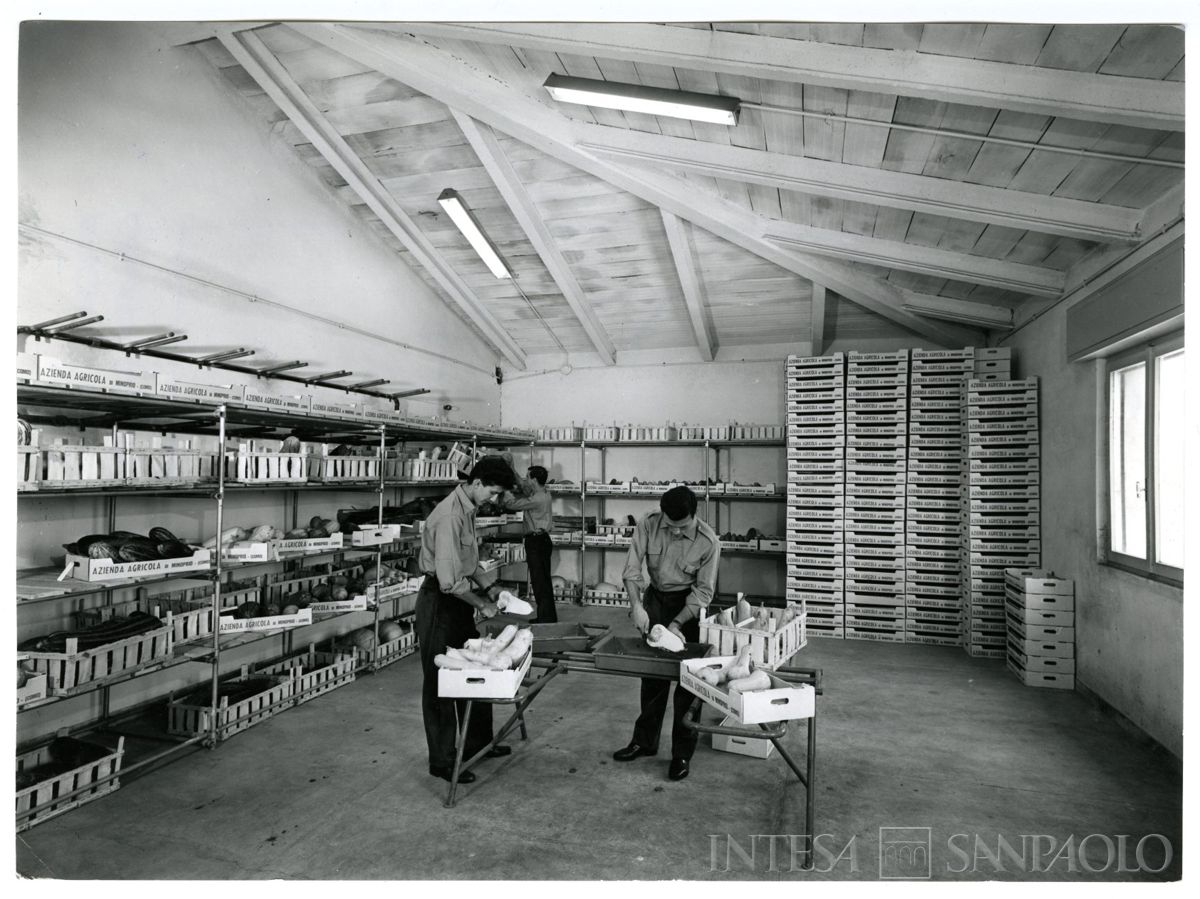 Cariplo, Minoprio: locale adibito alla selezione della frutta e verdura, anni 1960 (foto Publifoto)