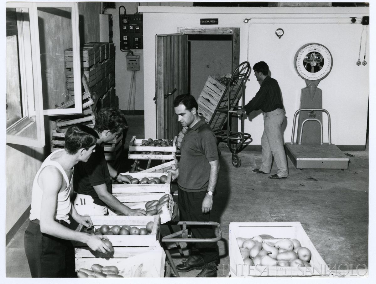 Cariplo, Minoprio: locale adibito alla selezione della frutta e verdura, anni 1960 (fotografo sconosciuto)