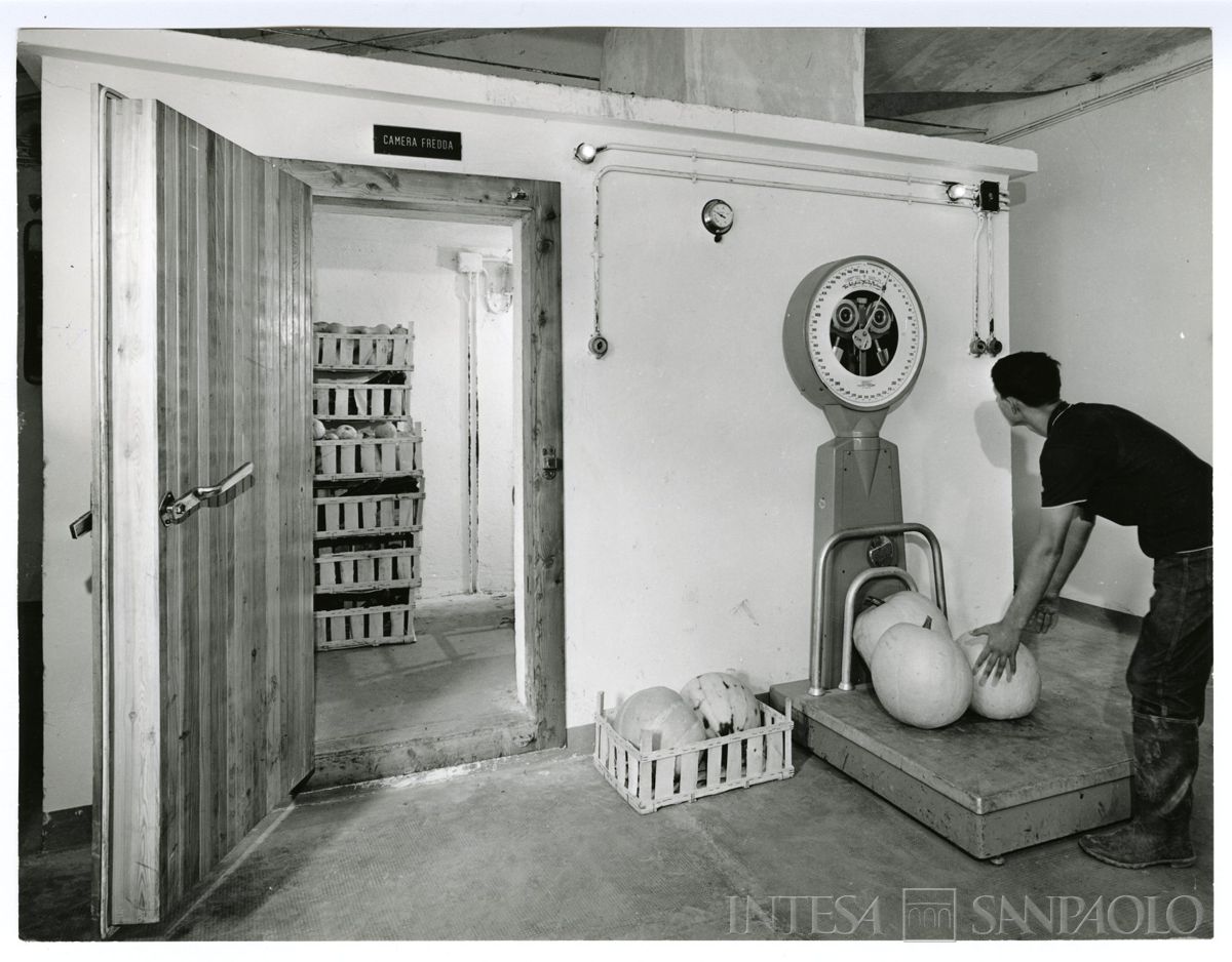 Cariplo, Minoprio: cella frigorifera e pesa di verdura, anni 1960 (foto Publifoto)
