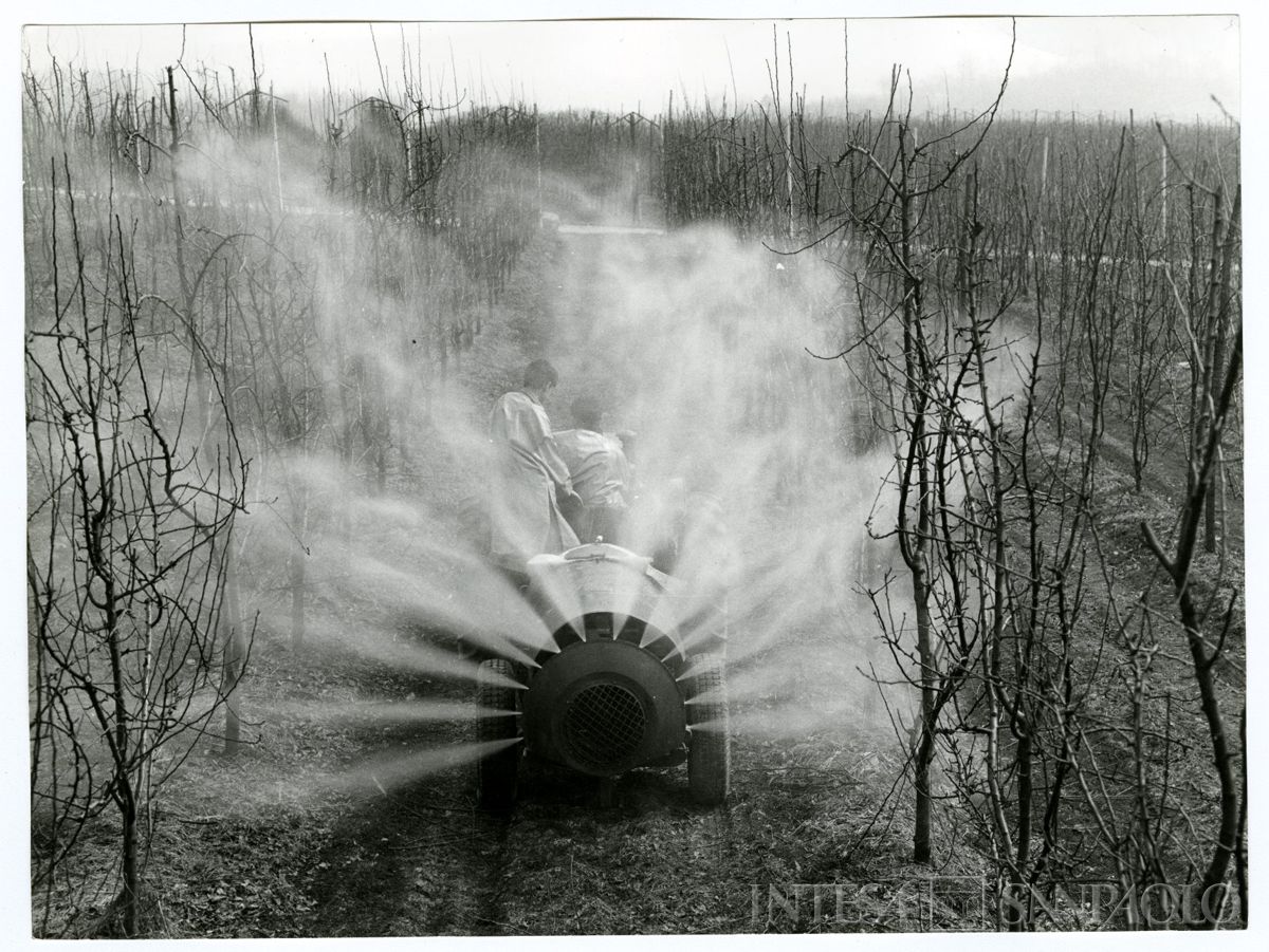 Cariplo, Minoprio: allievi al lavoro su uno dei mezzi agricoli, anni 1960 (foto Elle2)