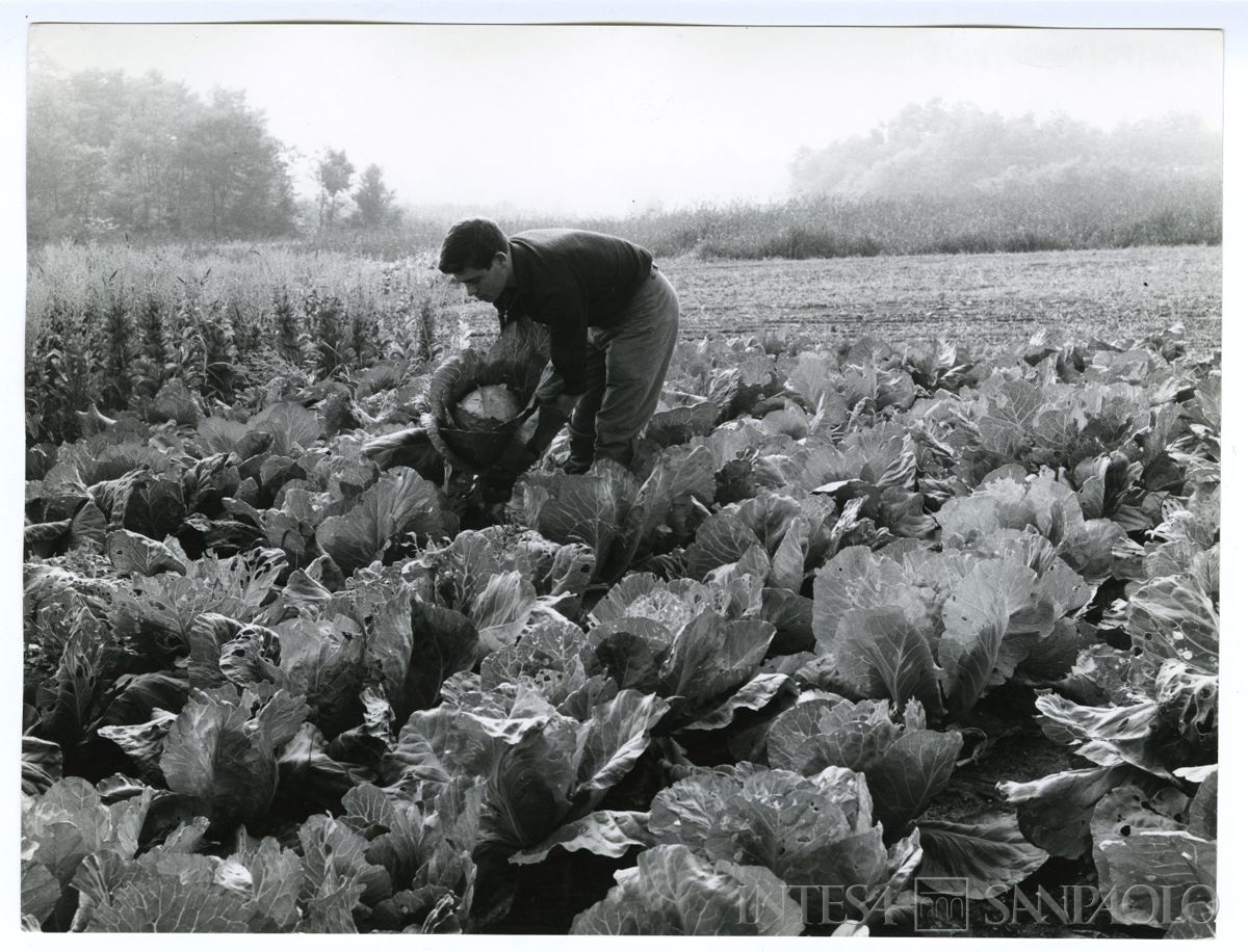 Cariplo, Minoprio: allievo al lavoro in un orto, anni 1960 (fotografo sconosciuto)