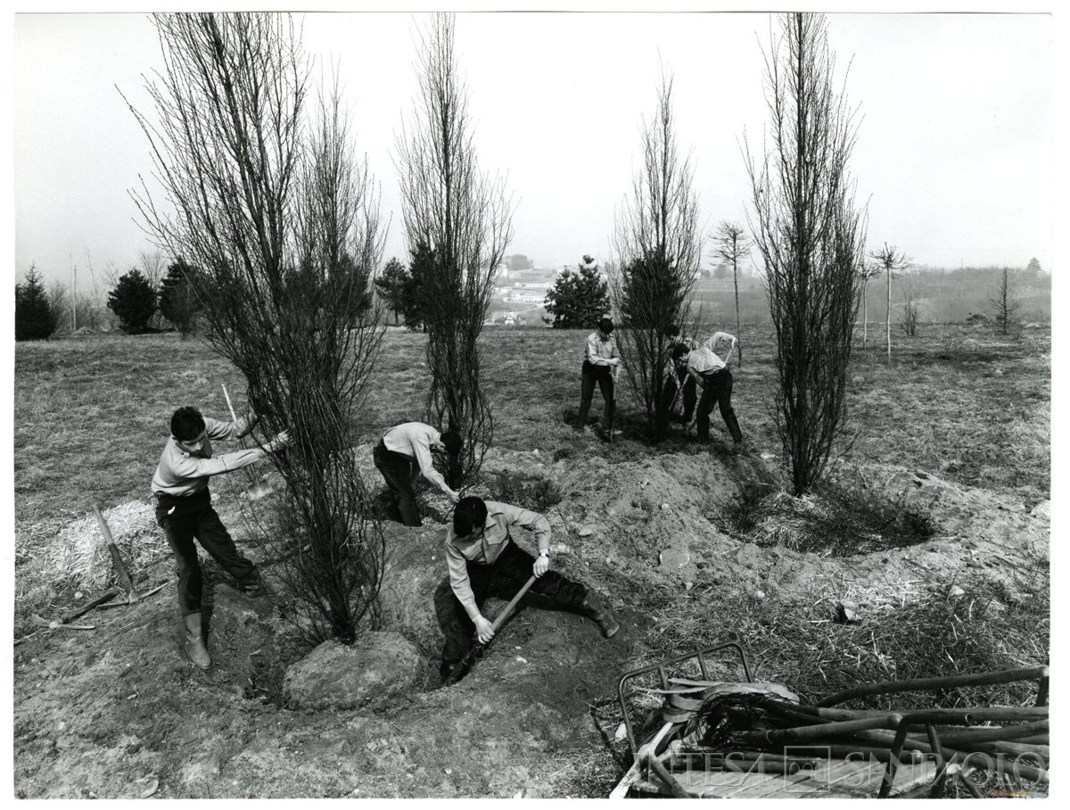 Cariplo, Minoprio: allievi al lavoro nel giardino della scuola, anni 1960 (foto Elle2)