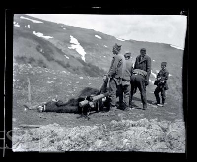 Persone locali all'aperto in Bulgaria, 1903-1914 (Bernardino Nogara)