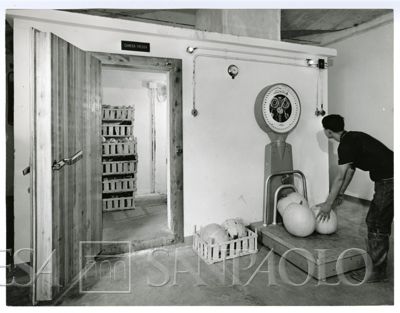 Cariplo, Minoprio: cella frigorifera e pesa di verdura, anni 1960 (foto Publifoto)