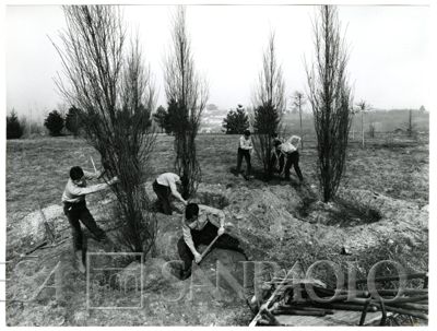 Cariplo, Minoprio: allievi al lavoro nel giardino della scuola, anni 1960 (foto Elle2)